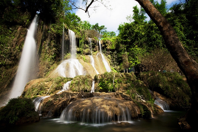 Hình đại diện của Nguyen Thao