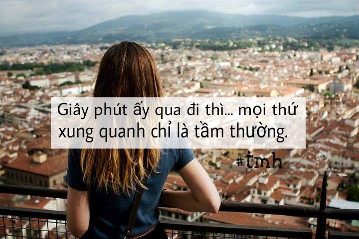 Hình đại diện của Lê Việt Mỹ