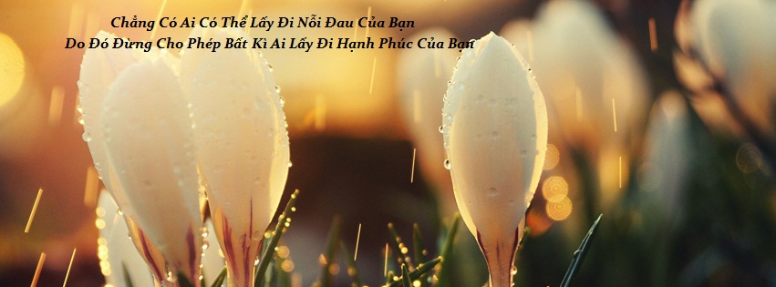 Hình đại diện của Nguyễn Huy