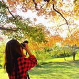 Hình đại diện của Hoa Nắng